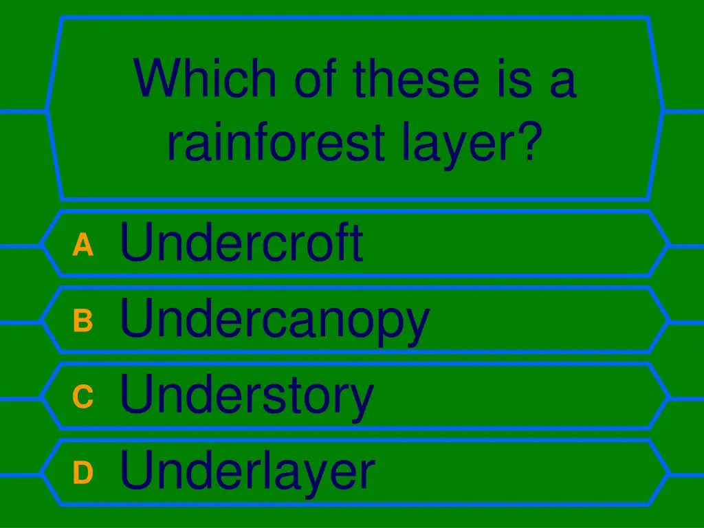 which of these is a rainforest layer