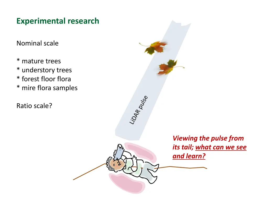 experimental research