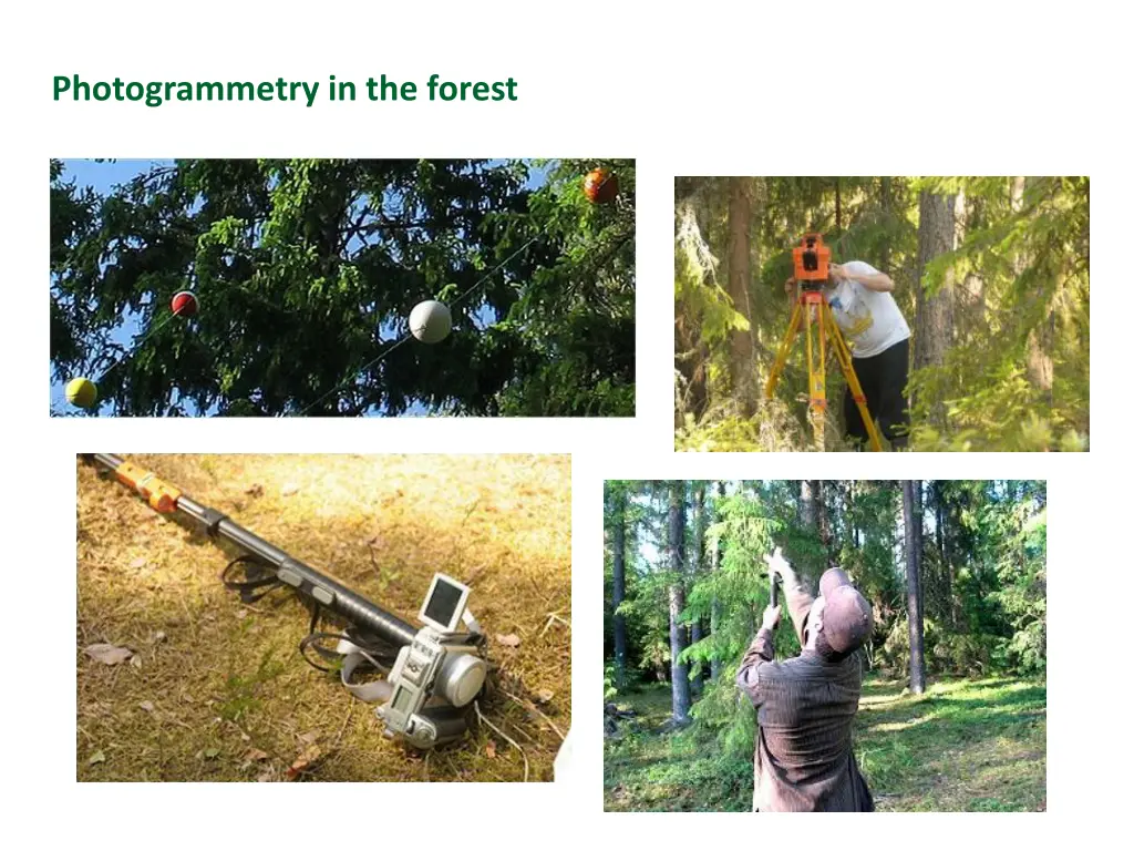 photogrammetry in the forest