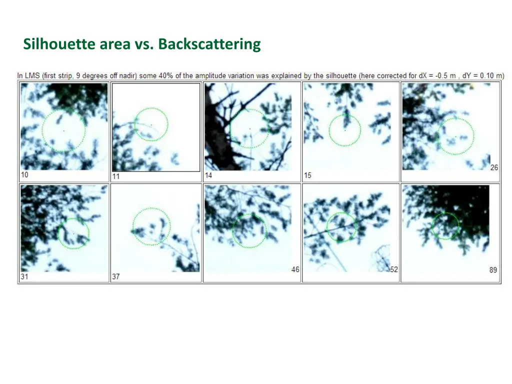 silhouette area vs backscattering 1