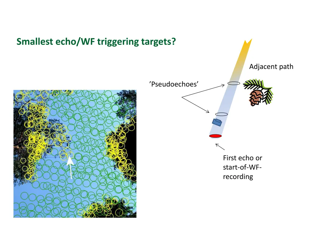 smallest echo wf triggering targets