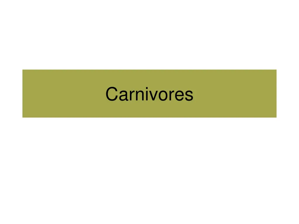 carnivores