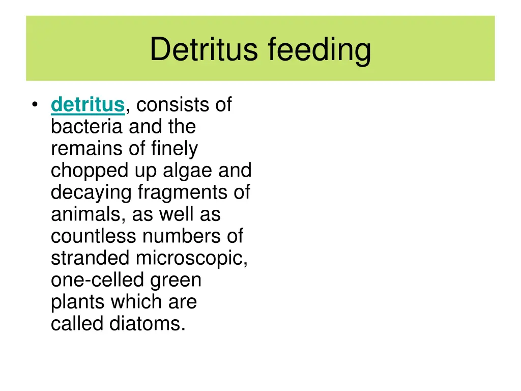 detritus feeding