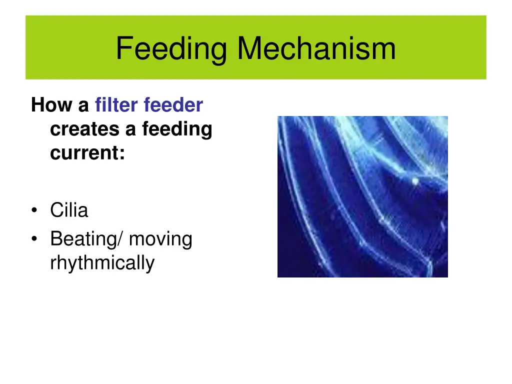 feeding mechanism 3