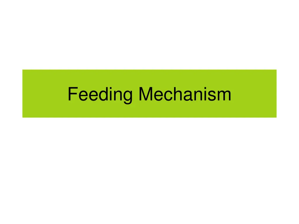 feeding mechanism