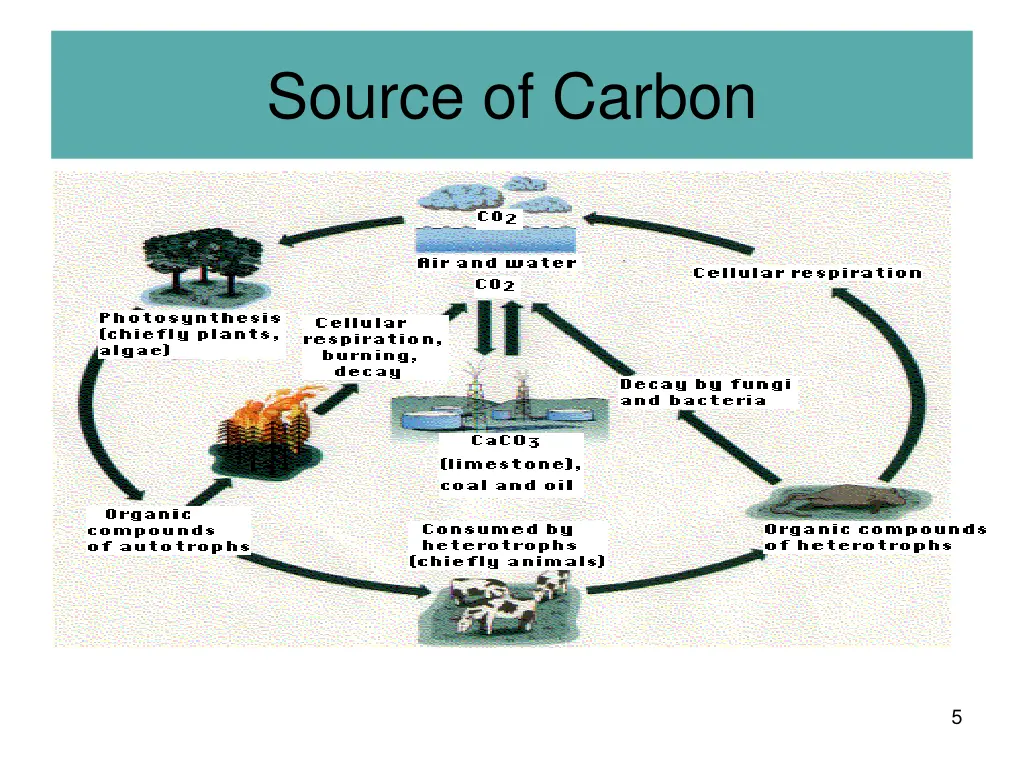 source of carbon 1