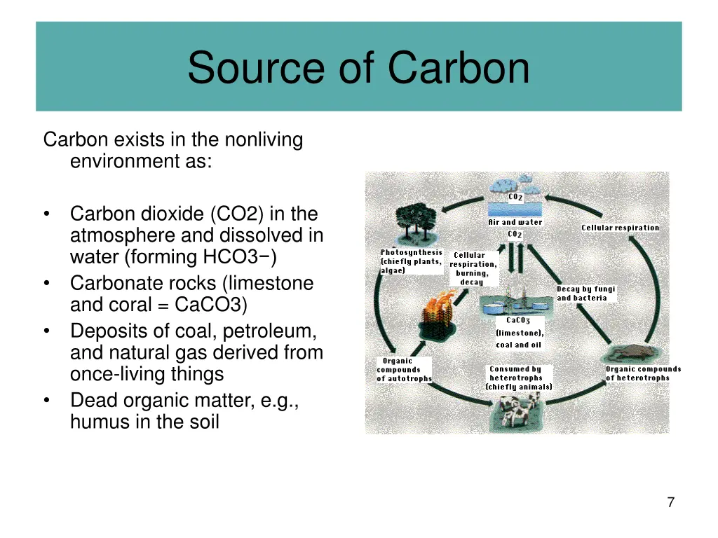 source of carbon 3