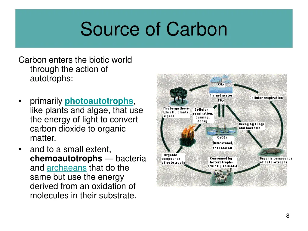 source of carbon 4