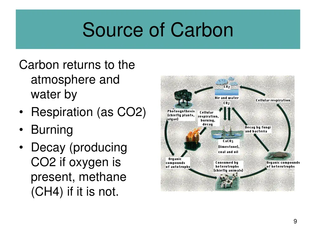 source of carbon 5