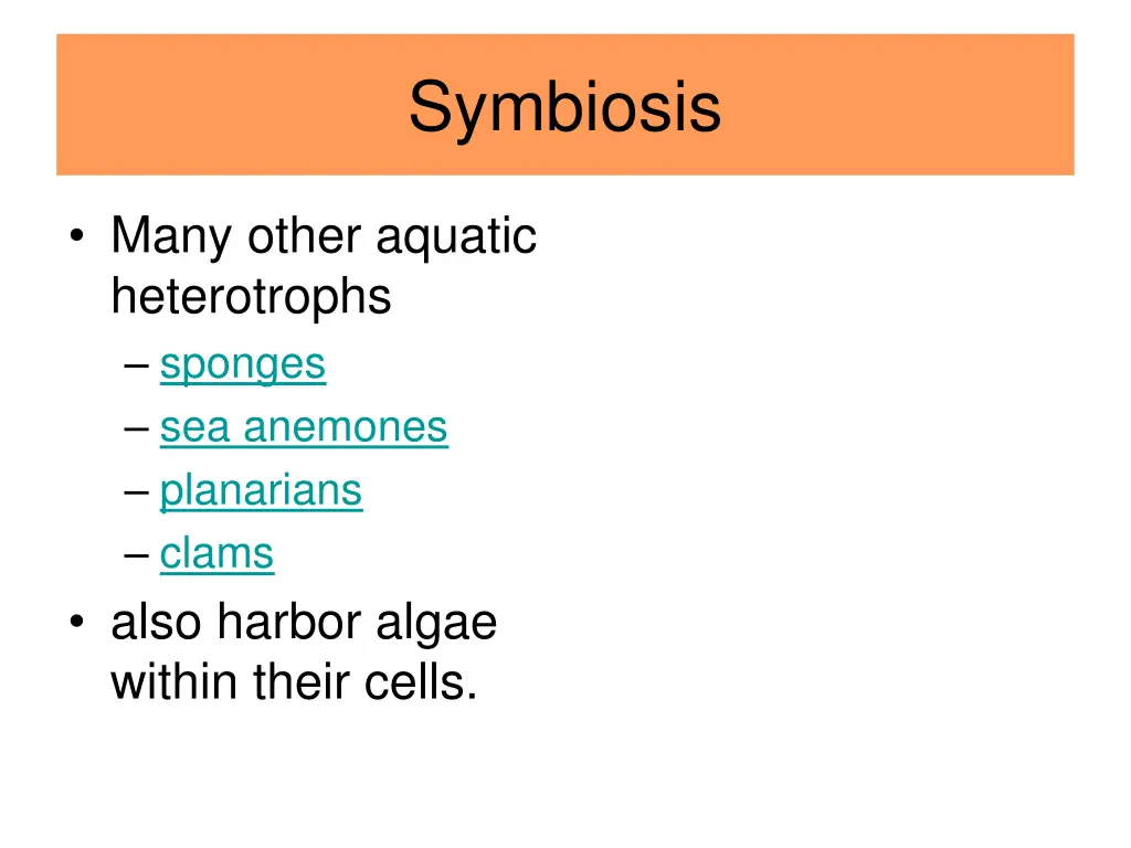 symbiosis 8