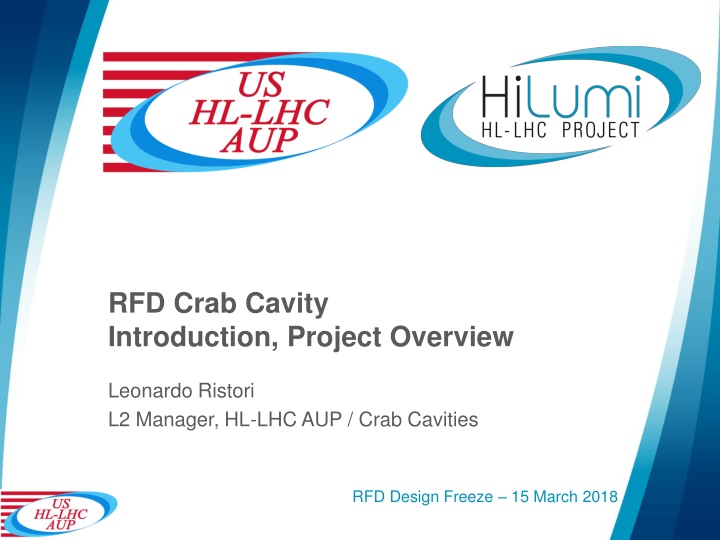 rfd crab cavity introduction project overview