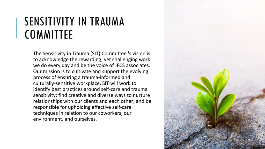 sensitivity in trauma committee