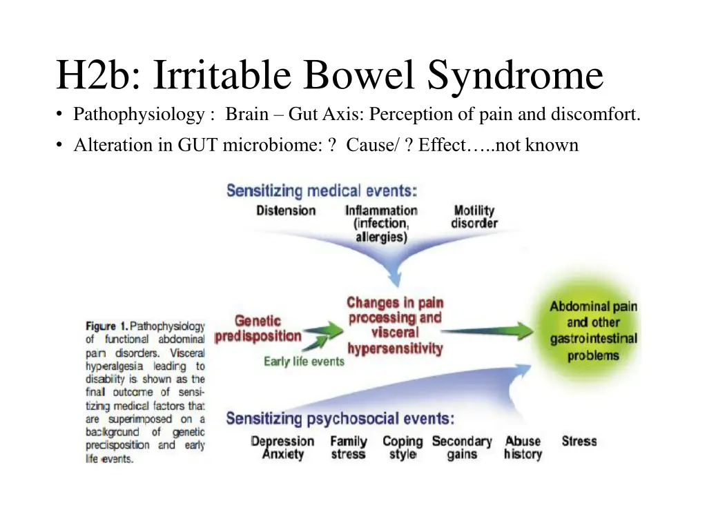 h2b irritable bowel syndrome pathophysiology