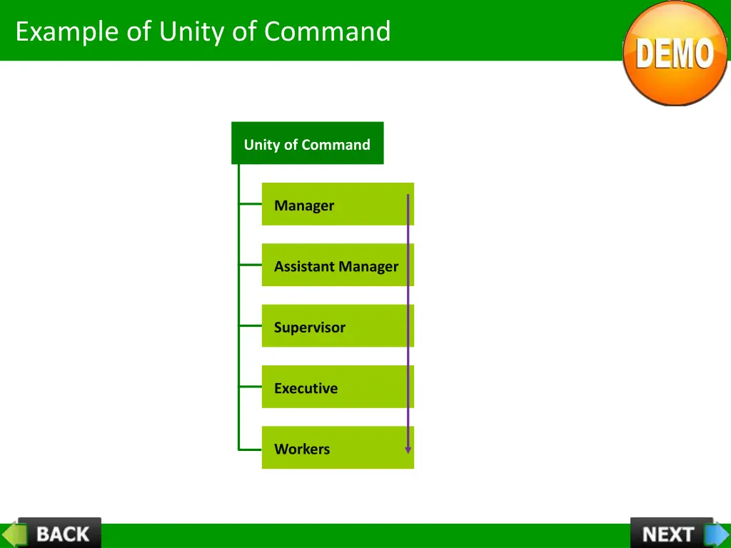 example of unity of command