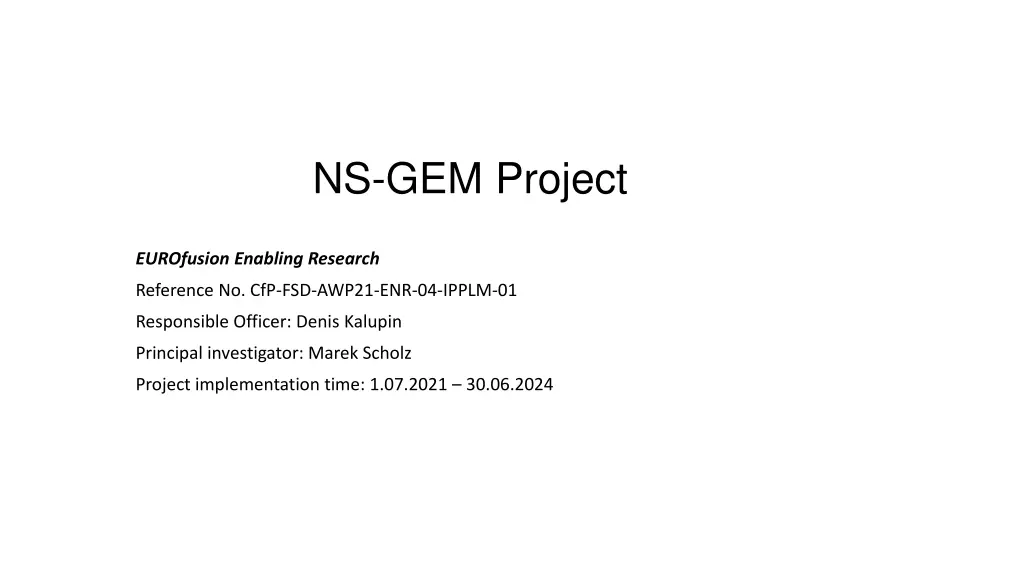 ns gem project