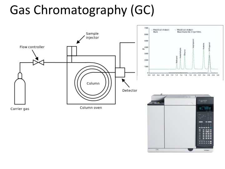 gas chromatography gc