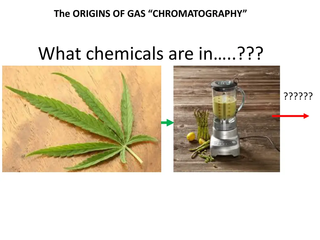 the origins of gas chromatography