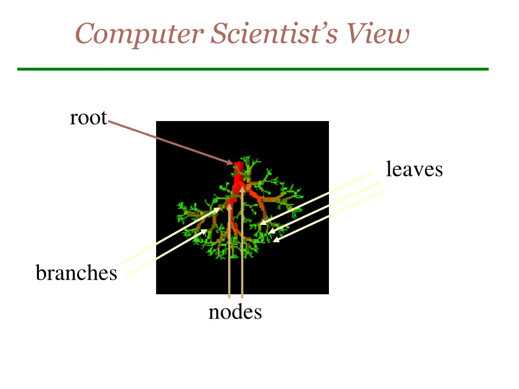 computer scientist s view