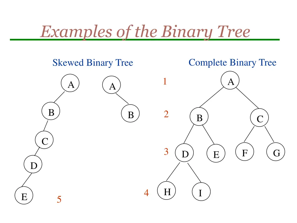 examples of the binary tree