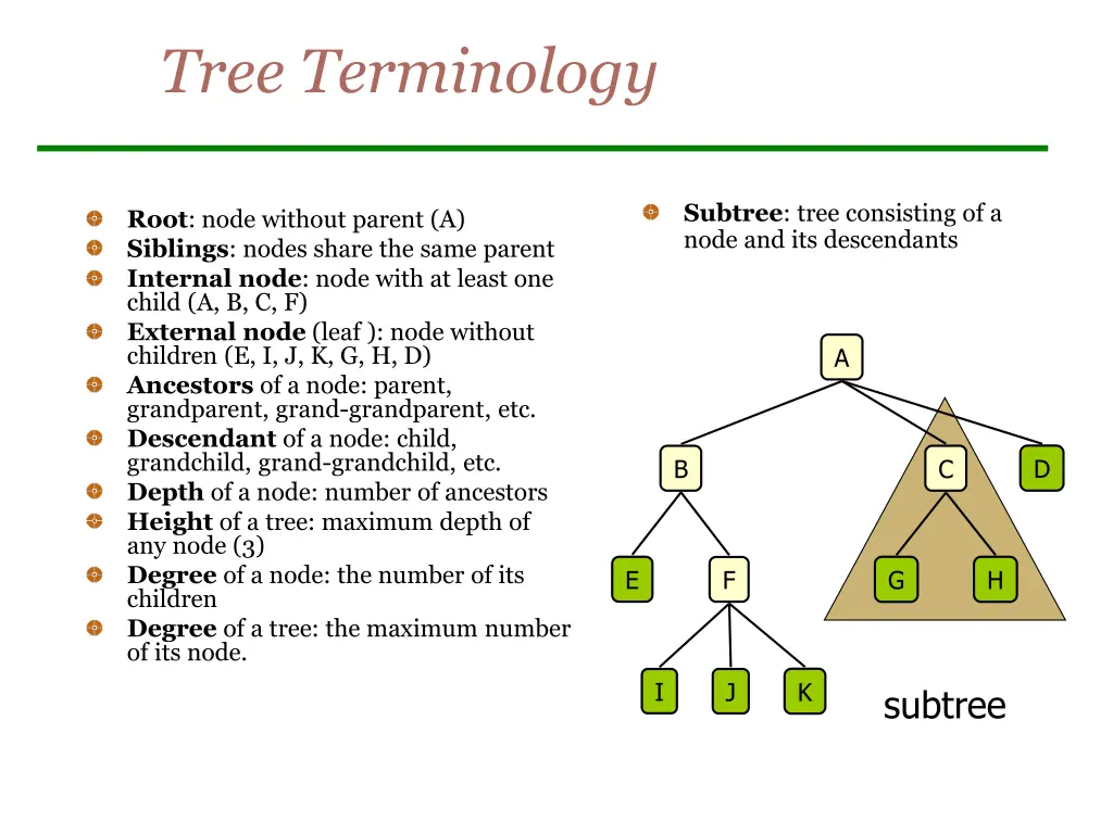 tree terminology