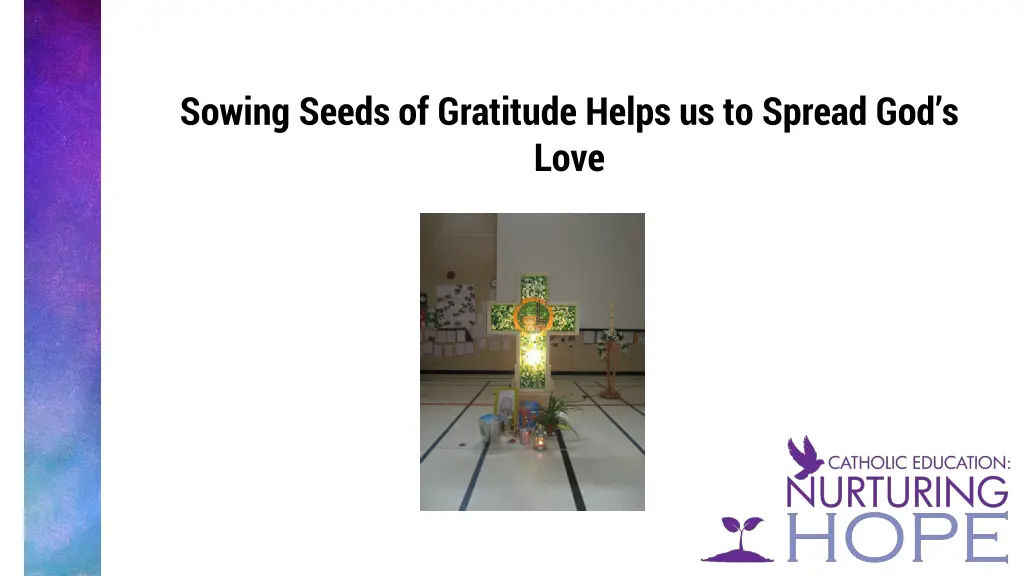 sowing seeds of gratitude helps us to spread