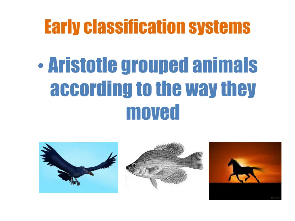 early classification systems