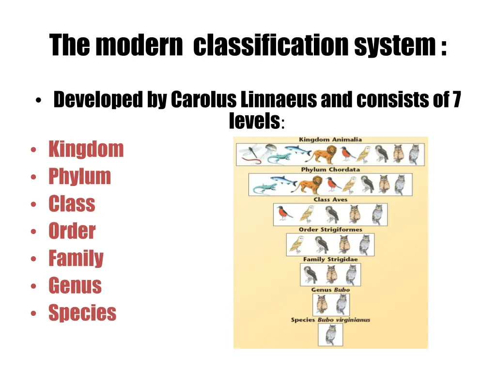 the modern classification system