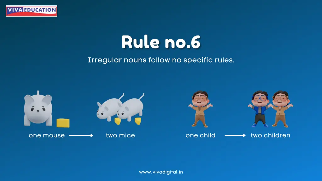 irregular nouns follow no specific rules