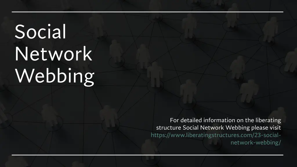 social network webbing 1