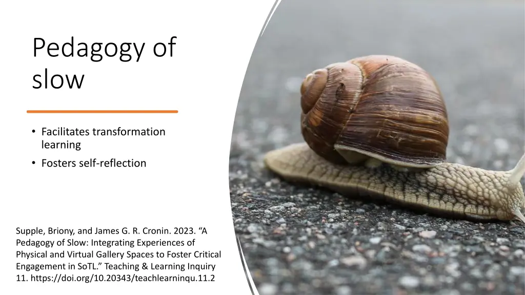 pedagogy of slow