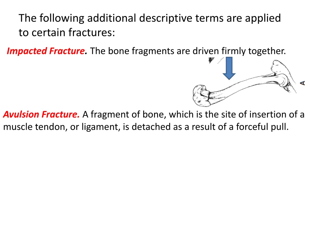 the following additional descriptive terms