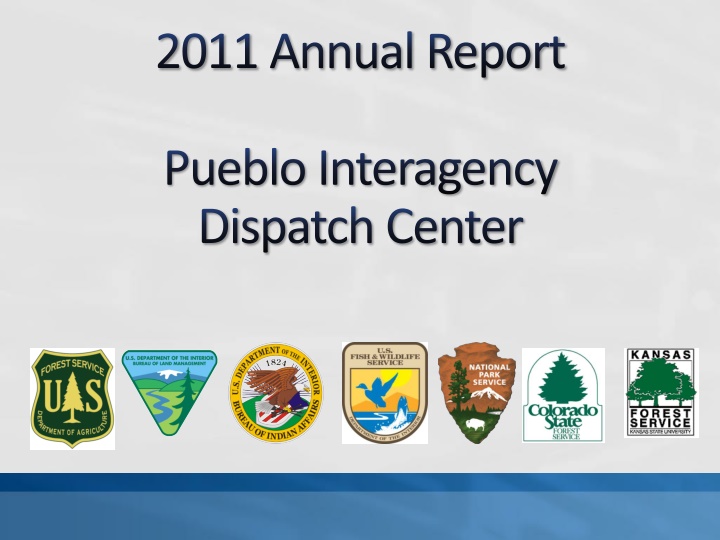 2011annual report