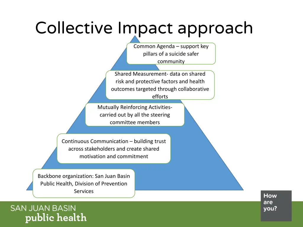 collective impact approach