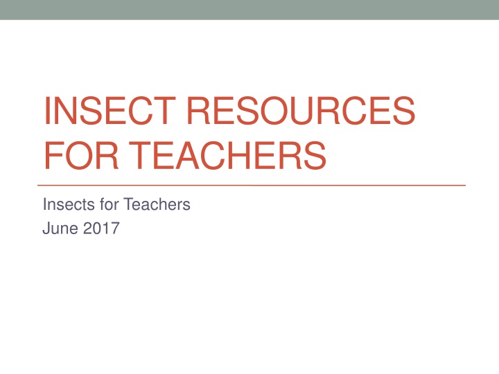 insect resources for teachers