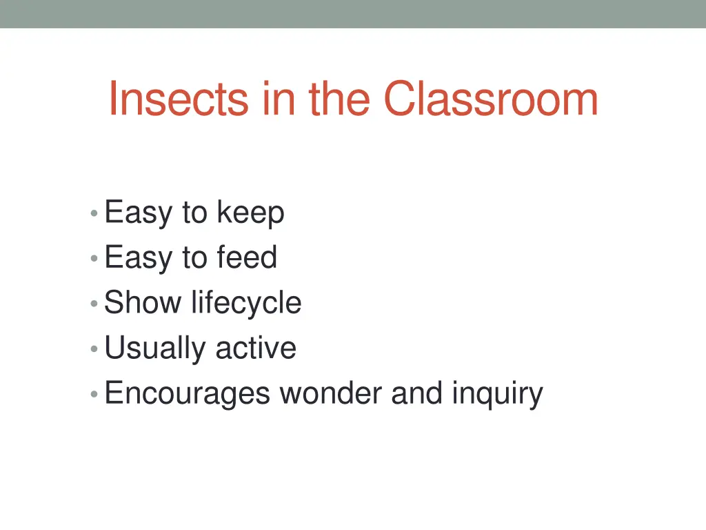 insects in the classroom