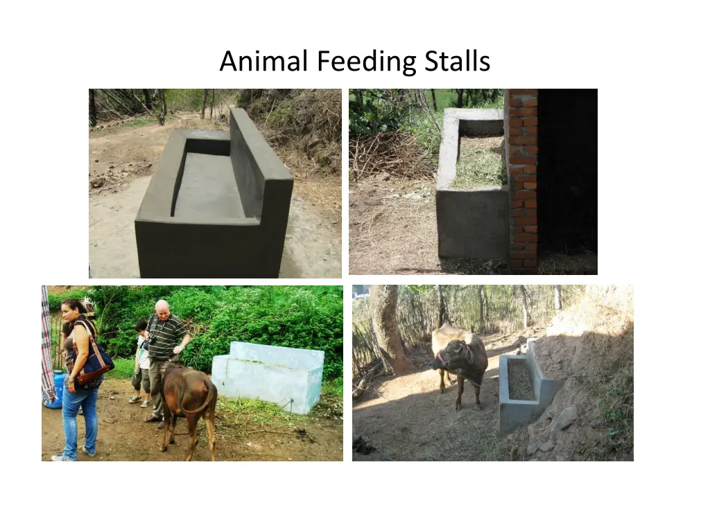 animal feeding stalls