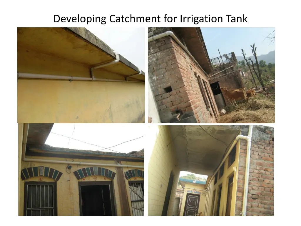 developing catchment for irrigation tank