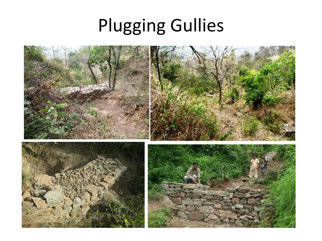 plugging gullies