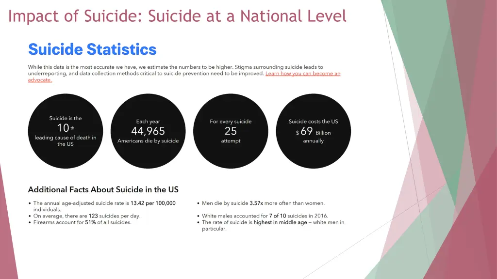 impact of suicide suicide at a national level