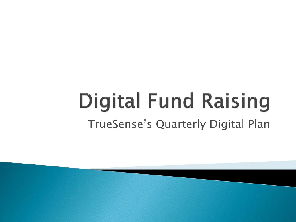 truesense s quarterly digital plan