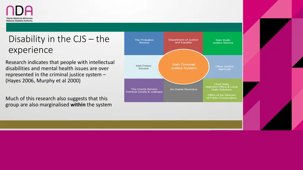 disability in the cjs the experience