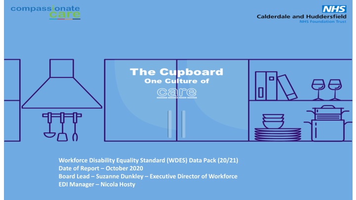 workforce disability equality standard wdes data