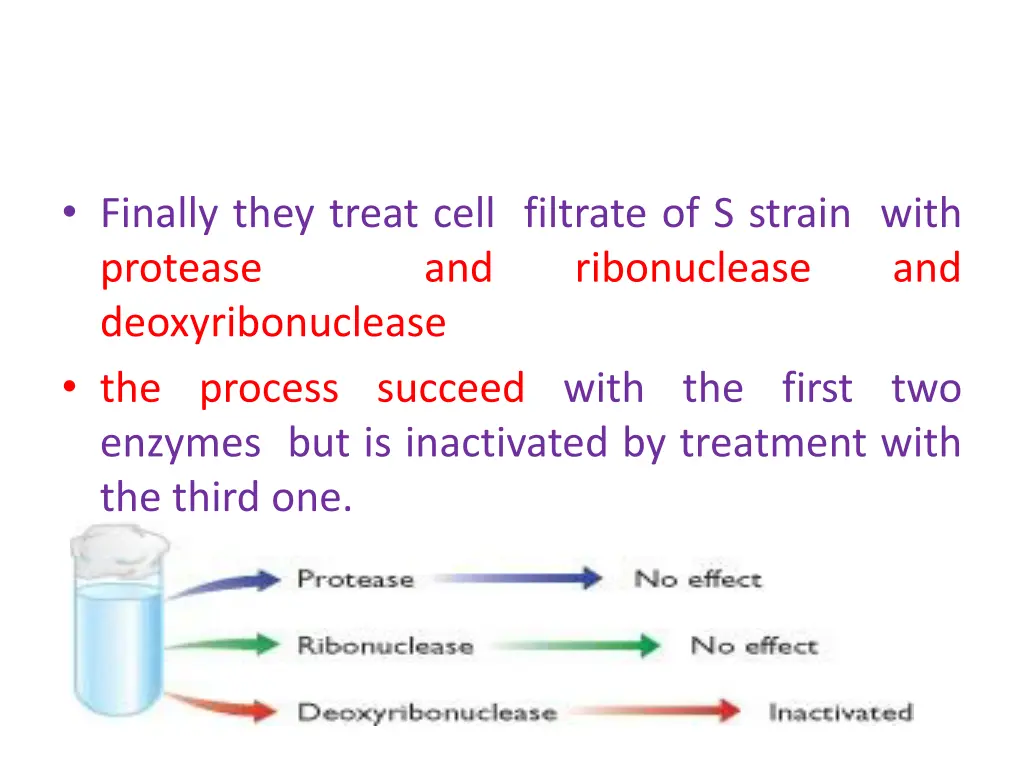 finally they treat cell filtrate of s strain with