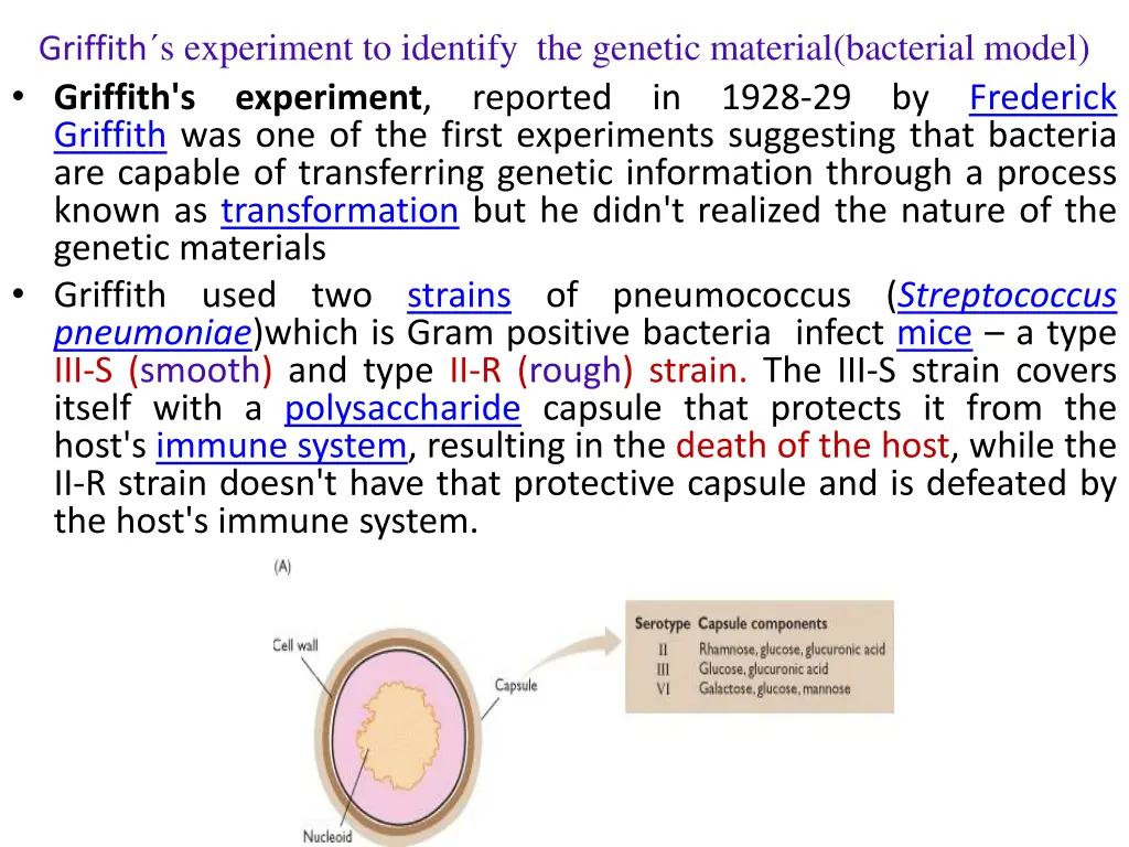 griffith s experiment to identify the genetic