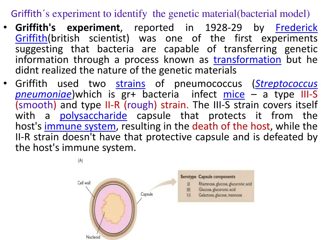 griffith s experiment to identify the genetic