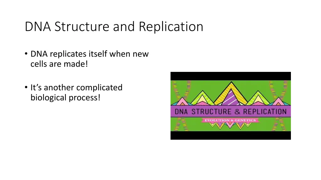 dna structure and replication