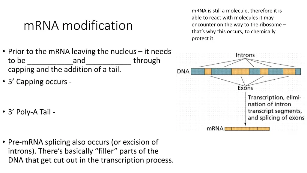 mrna is still a molecule therefore it is able