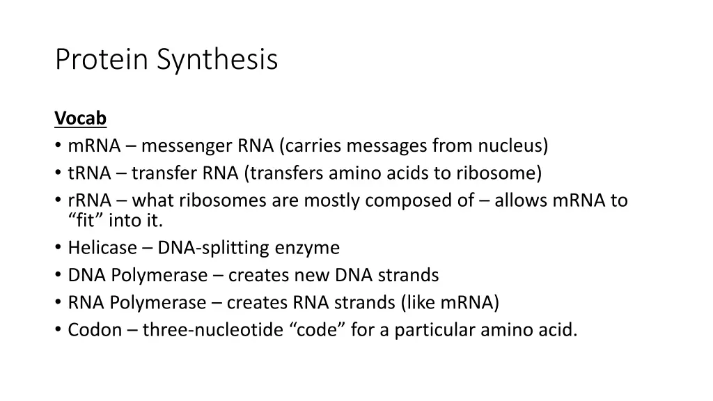 protein synthesis 1