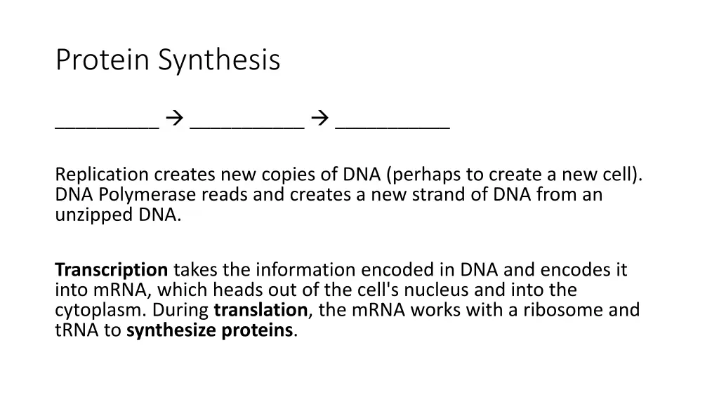 protein synthesis 2