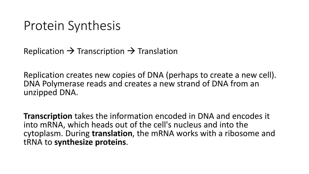 protein synthesis 3